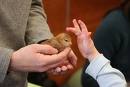 AAP: No Exotic Pets for Young Children