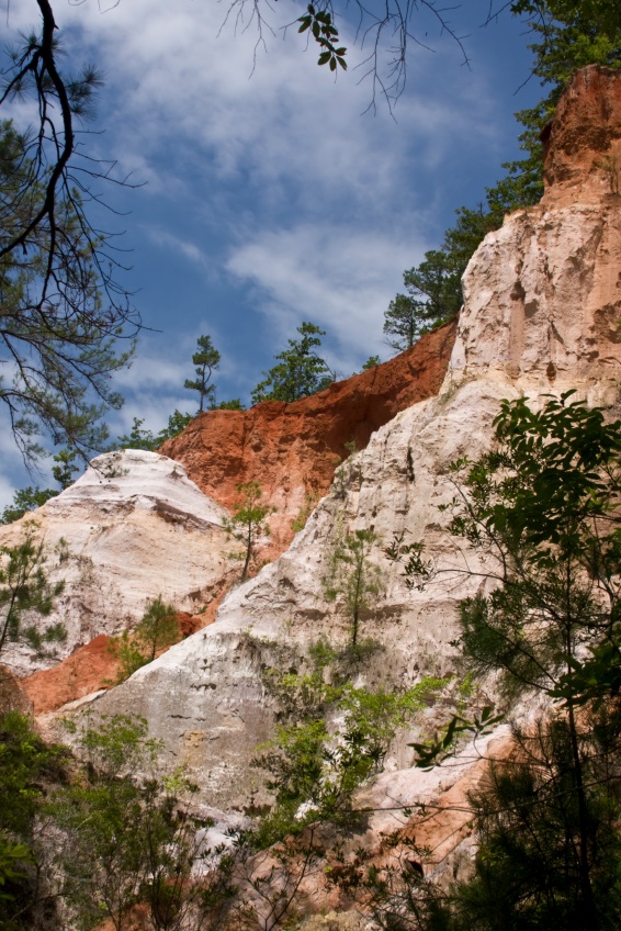 Geology Day at Providence Canyon