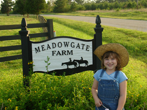 Grand Opening of Meadowgate Farm