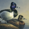 Georgia Junior Duck Stamp Art on Exhibit at Callaway Gardens