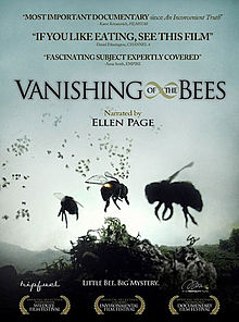 Second Sunday: Vanishing of the Bees