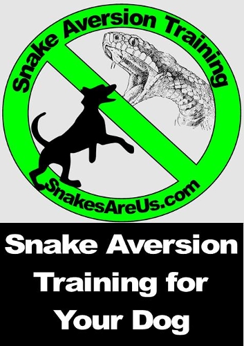 Snake Aversion Training for Dogs at Oxbow Meadows
