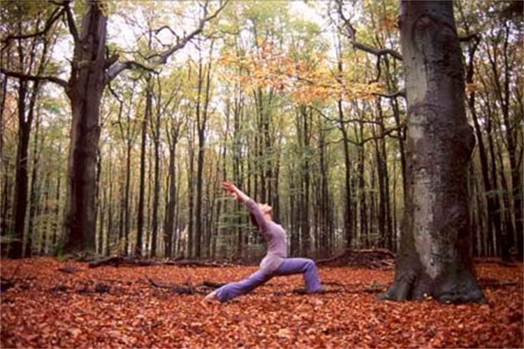 Art Of Yoga Fall Yoga Retreat @ Callaway Gardens