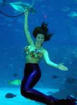 Weeki Wachee Mermaids Return to Georgia Aquarium!