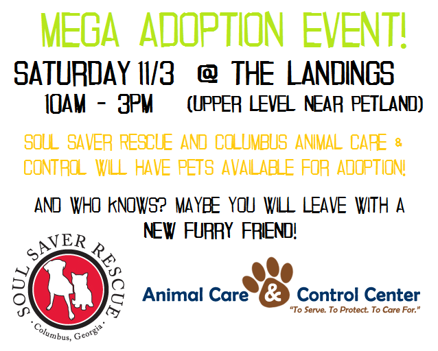 Mega Animal Adoption Event