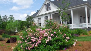 The-Adams-Farmhouse-Columbus-Botanical-Garden