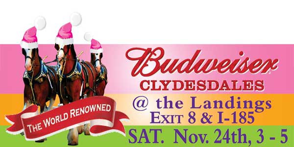 Budweiser Clydesdales coming to Columbus & Fort Benning