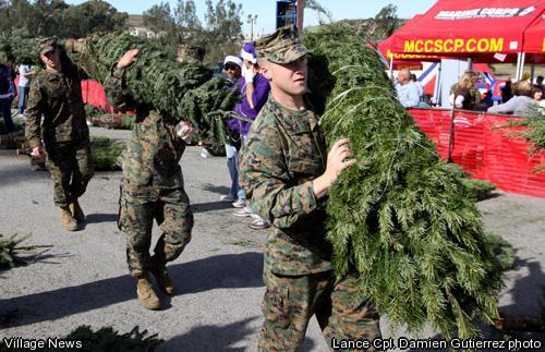 Trees For Troops