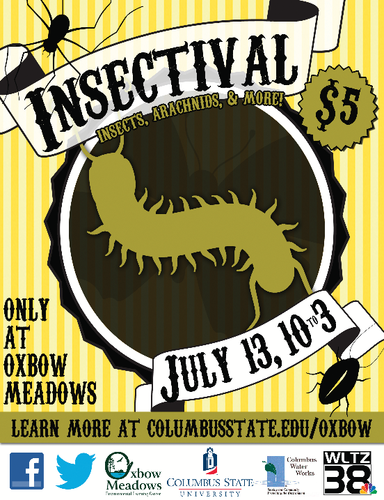 Insectival at Oxbow Meadows