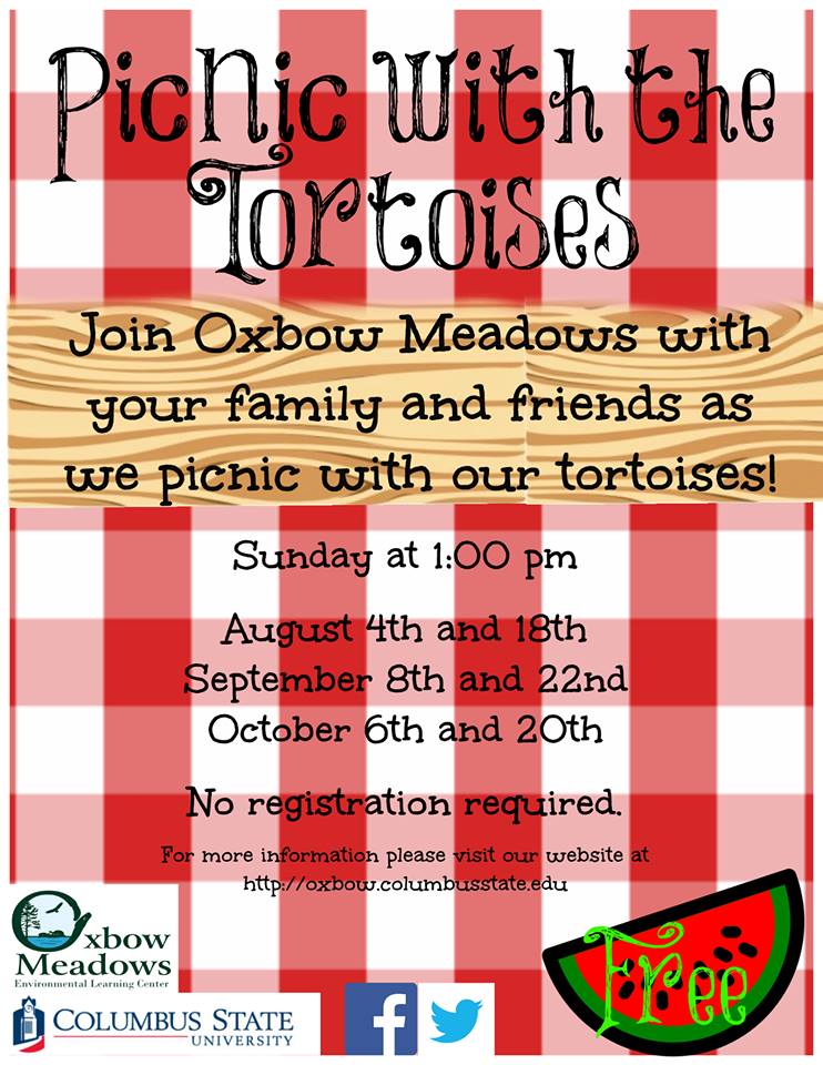 Picnic With The Tortoises At Oxbow Meadows