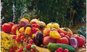 Columbus Botanical Garden Presents: Garden to Table – Fall and Winter Vegetables