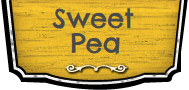 Review: Sweet Pea Delivers for Busy Parents