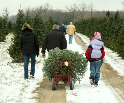 7 Holiday Traditions to Rethink This Christmas