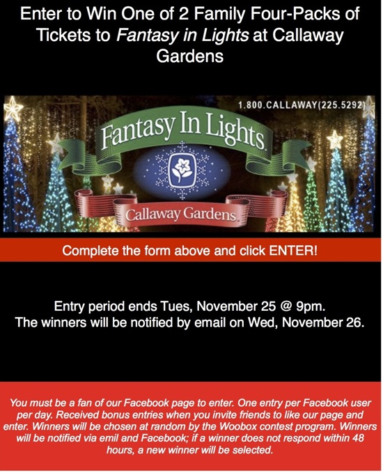 Fantasy in Lights ticket giveaway