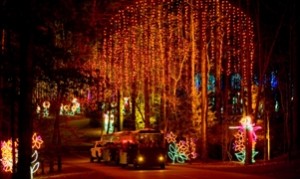 Muscogee Moms Review Fantasy In Lights At Callaway Gardens