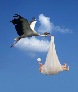 stork baby