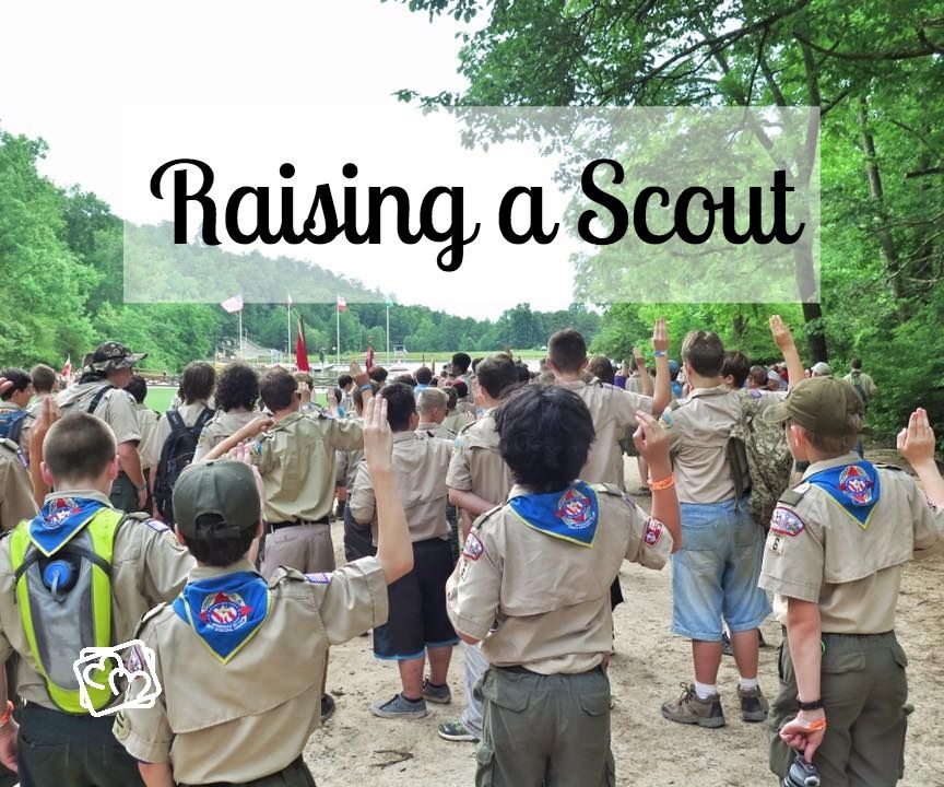 Raising a Scout