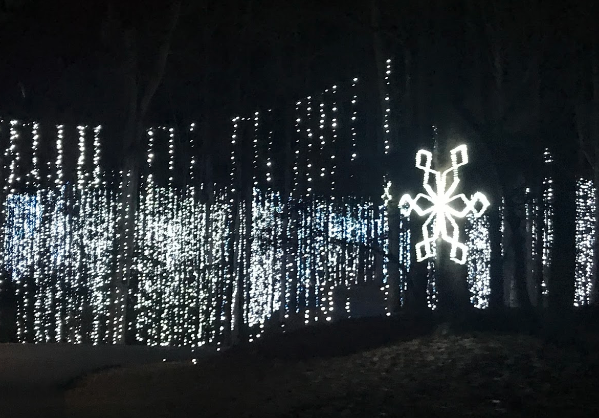 Fantasy in Lights Snowflake Valley