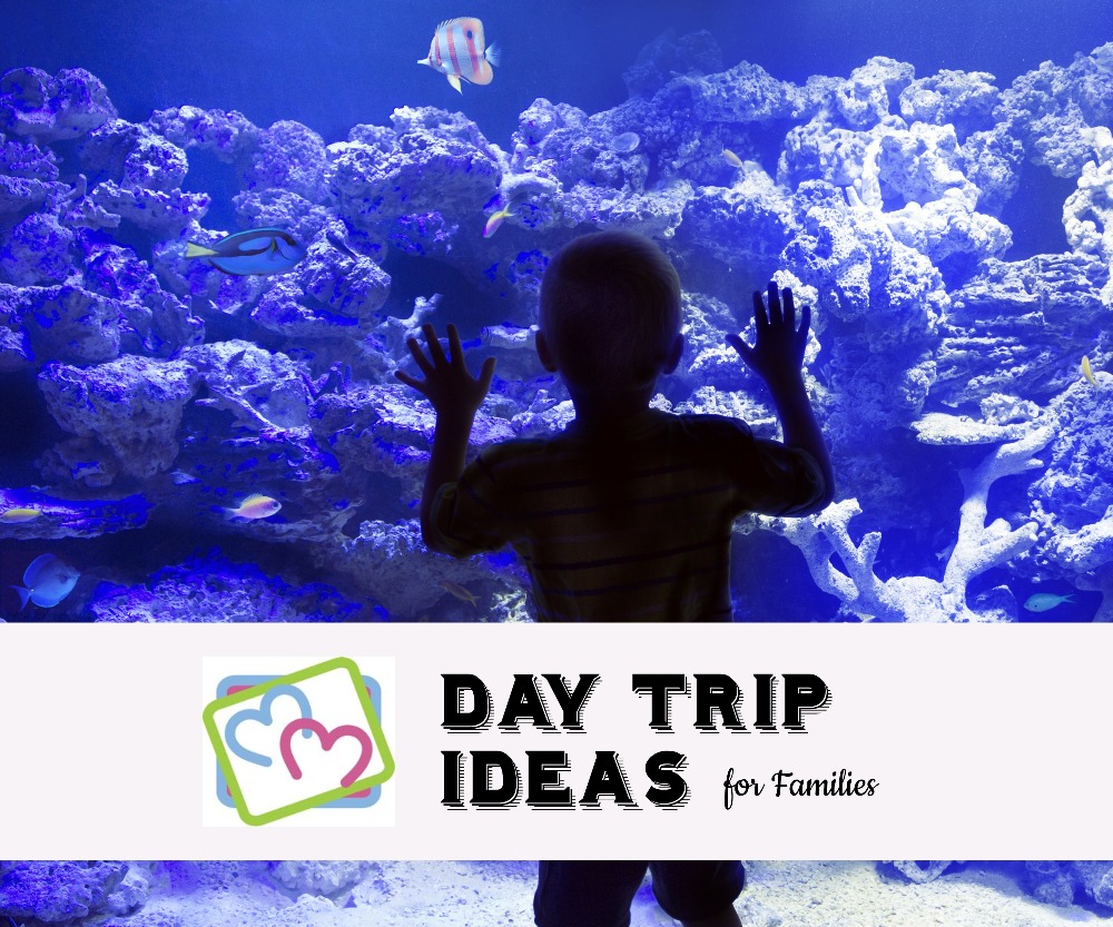 Day Trip Ideas
