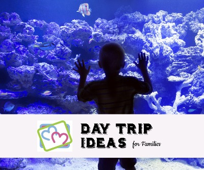 Day Trips Directory