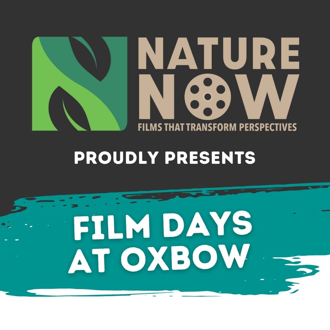 Nature Now – Free Film Day